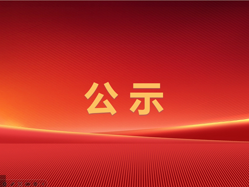 辰龍集團級索煤礦2025年一季度較大及以上安全風險管控清單